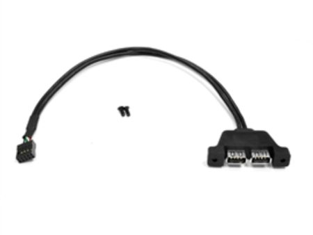 ASRock Cable DESKMINI USB CABLE DESKMINI 2xUSB2.0 CABLE For Deskmini Barebone Systems Retail Online now