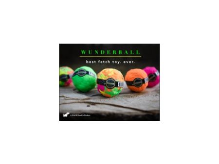 Medium Wunderballs- Solid Swirl 1 Each by Wackywalkr Fashion