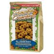 K-9 Granola Factory Pumpkin Crunchers Apple & Cranberry 14 Oz by K9 Granola Factory Online Sale