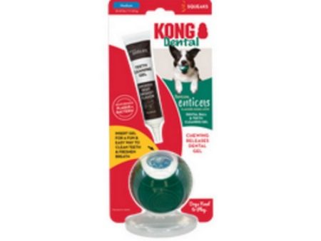 Kong, Dental Ball with Tropiclean Enticer Teeth Cleaning Gel, 1 Count   1 Oz (Medium) Hot on Sale