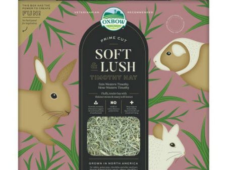 Prime Cut Soft and Lush Timothy Hay Small Animal Treat 1 Count   80 Oz by Oxbow Animal Health Hot on Sale