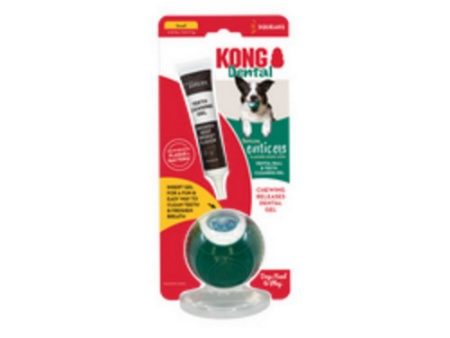 Kong, Dental Ball with Tropiclean Enticer Teeth Cleaning Gel, 1 Count   1 Oz (Small) on Sale