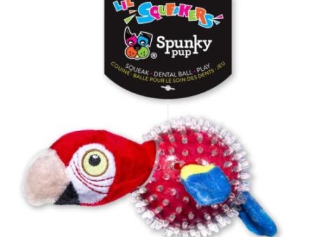 Spunky Pup Parrot In Clear Spiky Ball 1 Each by Spunky Pup Sale